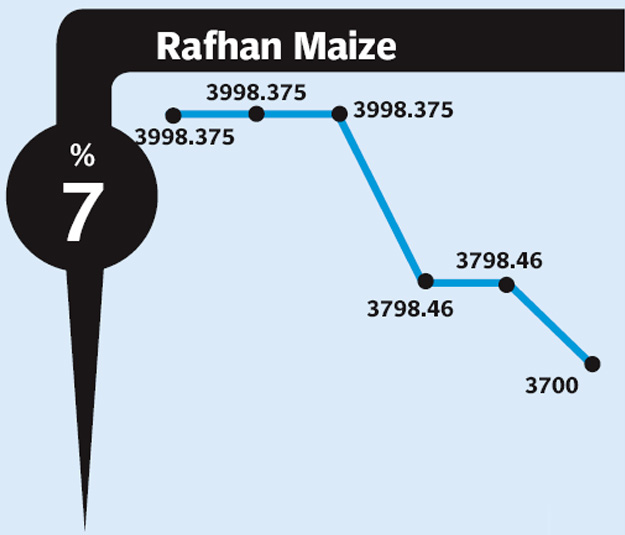 Rafhan Maize